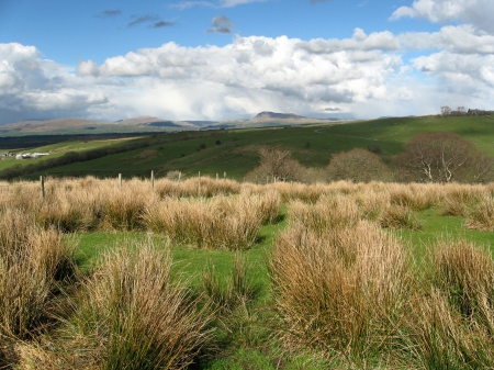 Looking back towards the Dales